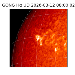 gong - 2026-03-12T08:00:02