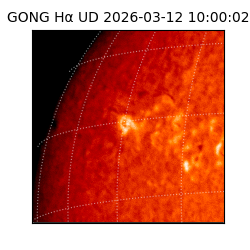 gong - 2026-03-12T10:00:02