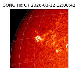 gong - 2026-03-12T12:00:42