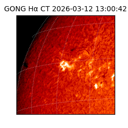 gong - 2026-03-12T13:00:42