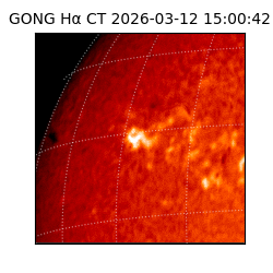 gong - 2026-03-12T15:00:42