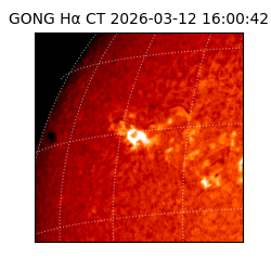 gong - 2026-03-12T16:00:42