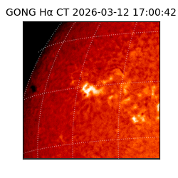 gong - 2026-03-12T17:00:42