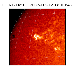 gong - 2026-03-12T18:00:42