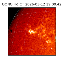 gong - 2026-03-12T19:00:42