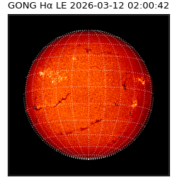 gong - 2026-03-12T02:00:42