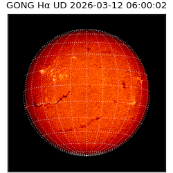 gong - 2026-03-12T06:00:02