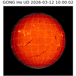 gong - 2026-03-12T10:00:02