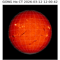 gong - 2026-03-12T12:00:42