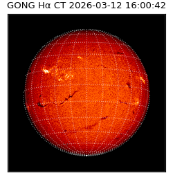 gong - 2026-03-12T16:00:42