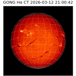 gong - 2026-03-12T21:00:42