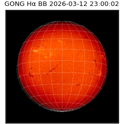 gong - 2026-03-12T23:00:02