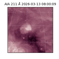 saia - 2026-03-13T08:00:09.624000