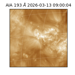 saia - 2026-03-13T09:00:04.842000