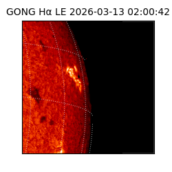 gong - 2026-03-13T02:00:42