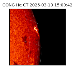 gong - 2026-03-13T15:00:42