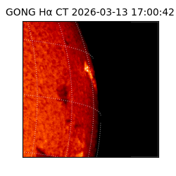 gong - 2026-03-13T17:00:42