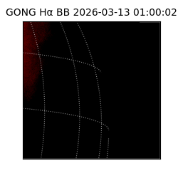 gong - 2026-03-13T01:00:02