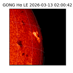 gong - 2026-03-13T02:00:42