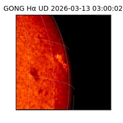 gong - 2026-03-13T03:00:02