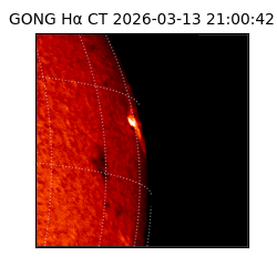 gong - 2026-03-13T21:00:42