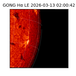 gong - 2026-03-13T02:00:42