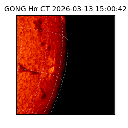 gong - 2026-03-13T15:00:42