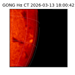 gong - 2026-03-13T18:00:42
