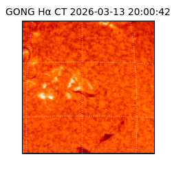 gong - 2026-03-13T20:00:42