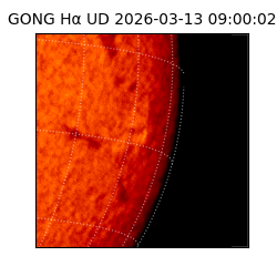 gong - 2026-03-13T09:00:02