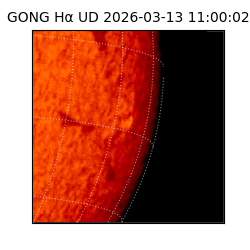 gong - 2026-03-13T11:00:02