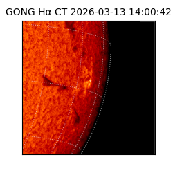 gong - 2026-03-13T14:00:42