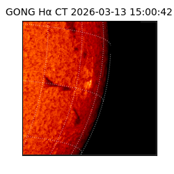 gong - 2026-03-13T15:00:42