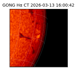 gong - 2026-03-13T16:00:42