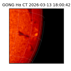 gong - 2026-03-13T18:00:42