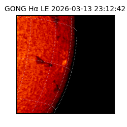 gong - 2026-03-13T23:12:42