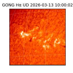 gong - 2026-03-13T10:00:02