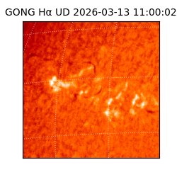 gong - 2026-03-13T11:00:02