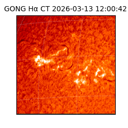 gong - 2026-03-13T12:00:42