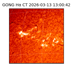 gong - 2026-03-13T13:00:42