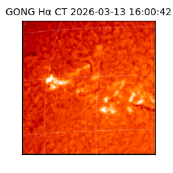 gong - 2026-03-13T16:00:42