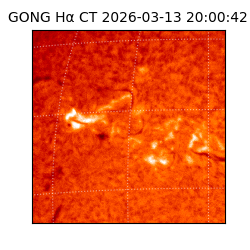 gong - 2026-03-13T20:00:42