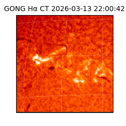 gong - 2026-03-13T22:00:42