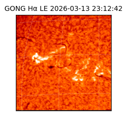 gong - 2026-03-13T23:12:42