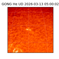 gong - 2026-03-13T05:00:02