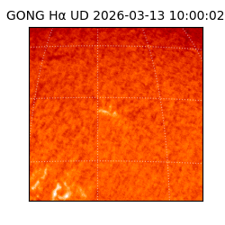 gong - 2026-03-13T10:00:02