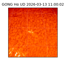 gong - 2026-03-13T11:00:02
