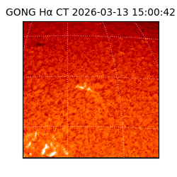 gong - 2026-03-13T15:00:42