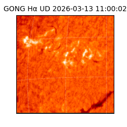 gong - 2026-03-13T11:00:02