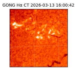 gong - 2026-03-13T16:00:42